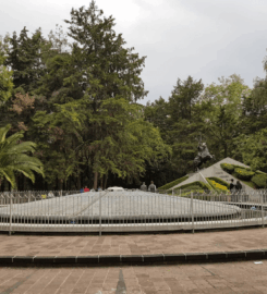 Parque Hundido (Zona Canina)