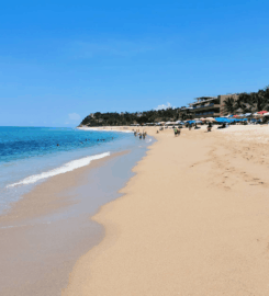 Playa San Pancho Pet-Friendly