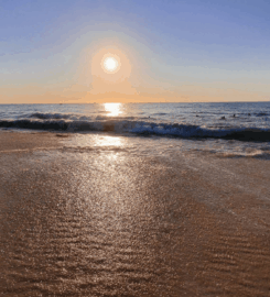 Playa San Pancho Pet-Friendly