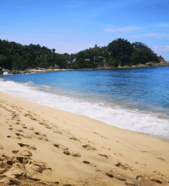 Playa San Pancho Pet-Friendly