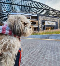 Mítikah Pet-Friendly