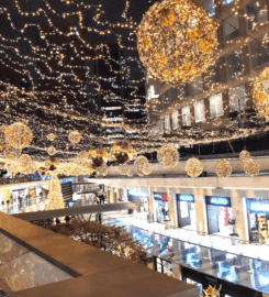 Antara Pet-Friendly