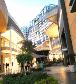 Antara Pet-Friendly