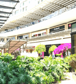 Antara Pet-Friendly