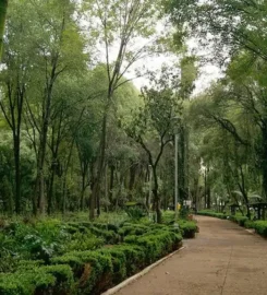 Parque México (Zona Canina)
