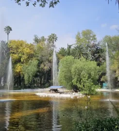 Parque México (Zona Canina)