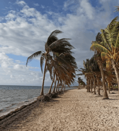 Playa Coral (El Mirador II) Pet-Friendly