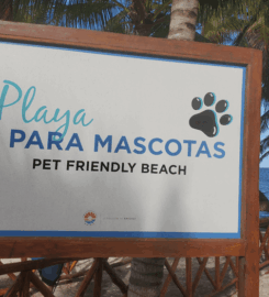 Playa Coral (El Mirador II) Pet-Friendly