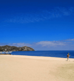 Playa Sayulita Pet-Friendly