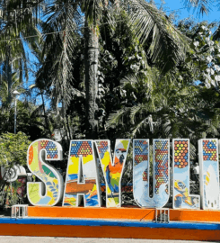 Playa Sayulita Pet-Friendly