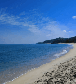 Playa Sayulita Pet-Friendly