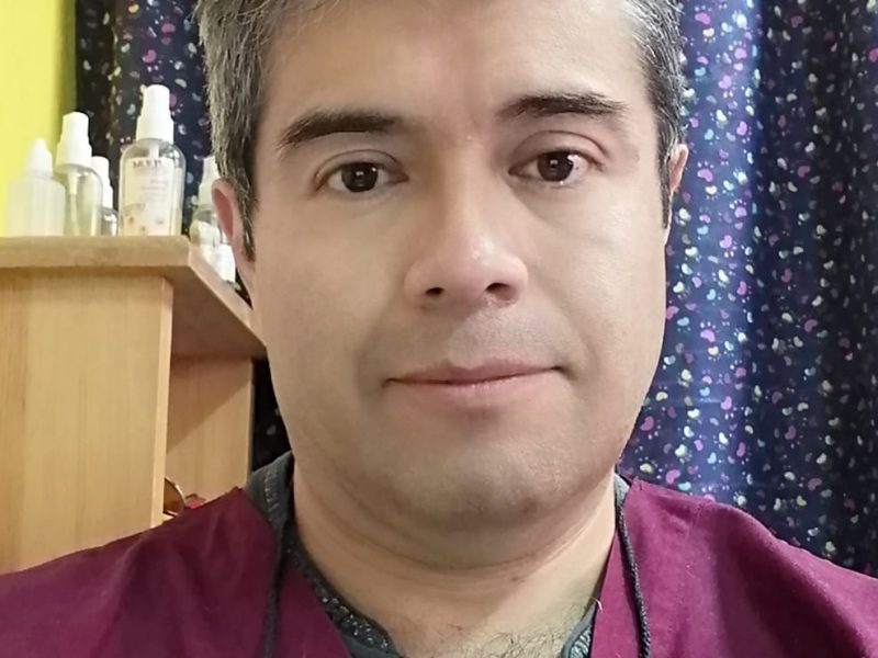 Veterinario con Especialidad en Medicina China