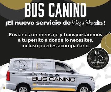 Bus Canino