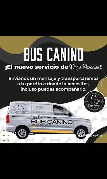 Bus Canino