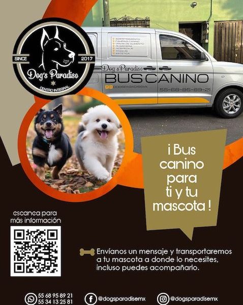 Bus Canino
