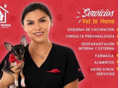 Vet to Home/ Veterinario a domicilio/ Mérida Yucatán
