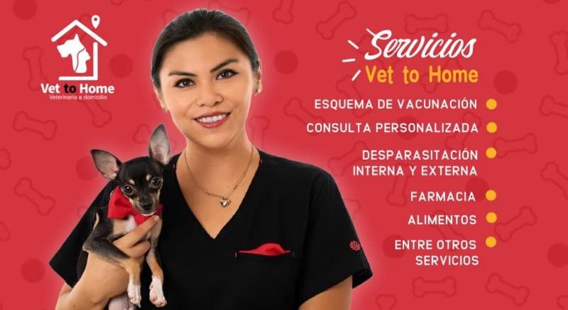 Vet to Home/ Veterinario a domicilio/ Mérida Yucatán