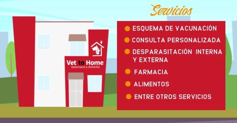 Vet to Home/ Veterinario a domicilio/ Mérida Yucatán