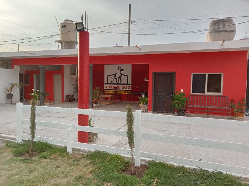 Pensión, Guarderia y Adiestramiento