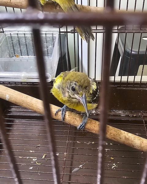 Baja Vet/ Veterinaria en Cabo San Lucas