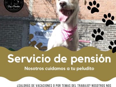 Pensión Dogs Paradise