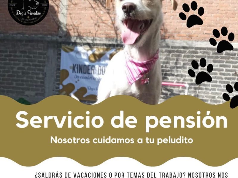Pensión Dogs Paradise