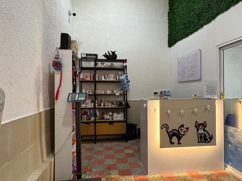 Spay Me Centro Médico Veterinario/ Coyoacán