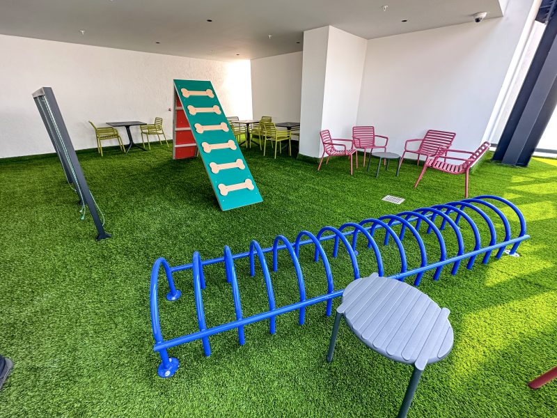 Renta Loft o Departamento en Reforma CDMX/ Petfriendly