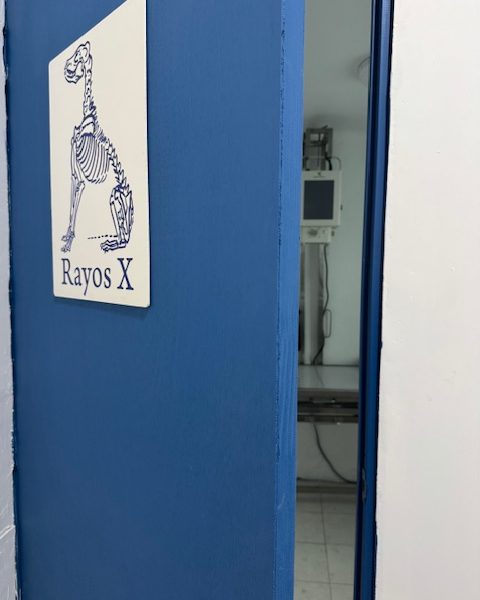 Spay Me Centro Médico Veterinario/ Coyoacán