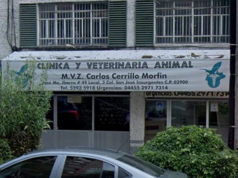 Clinica Veterinaria Animal/ San José Insurgentes/ CDMX Sur