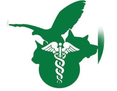 Clinica Veterinaria Animal/ San José Insurgentes/ CDMX Sur