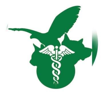 Clinica Veterinaria Animal/ San José Insurgentes/ CDMX Sur