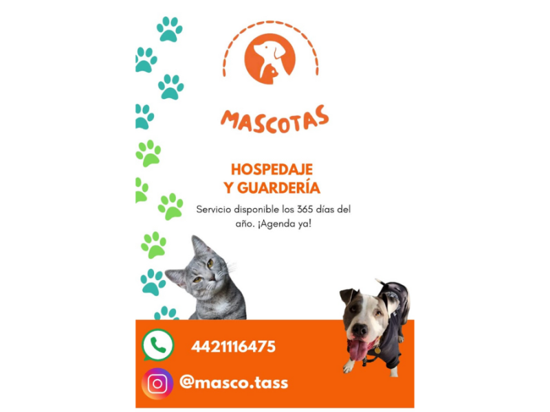 Hospedaje Guarderia/ Pasteles saludables para canhijos/ El Marqués Querétaro