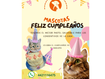 Hospedaje Guarderia/ Pasteles saludables para canhijos/ El Marqués Querétaro