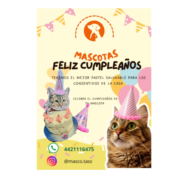 Hospedaje Guarderia/ Pasteles saludables para canhijos/ El Marqués Querétaro