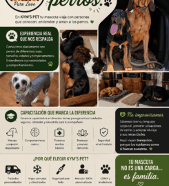 Transporte Premium para Mascotas