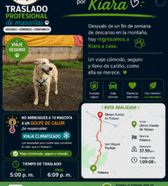 Transporte Premium para Mascotas