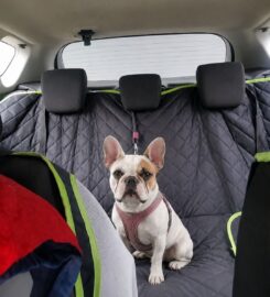 Transporte Premium para Mascotas