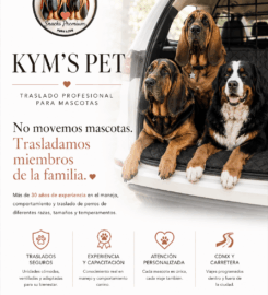 Transporte Premium para Mascotas