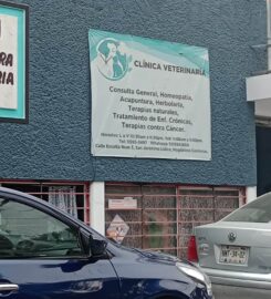 Clínica de Homeopatía y Acupuntura Veterinaria – Sanación holística y bienestar profundo para tu peludo