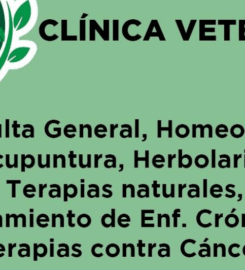 Clínica de Homeopatía y Acupuntura Veterinaria – Sanación holística y bienestar profundo para tu peludo