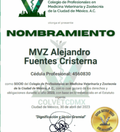 Clínica de Homeopatía y Acupuntura Veterinaria – Sanación holística y bienestar profundo para tu peludo